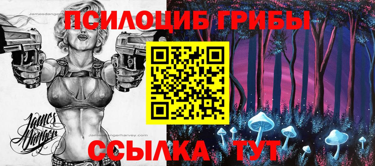Галлюциногенные грибы Magic Shrooms  Вход с VPN  Псилоцибиновые грибы GOLDEN TEACHER  Советск 